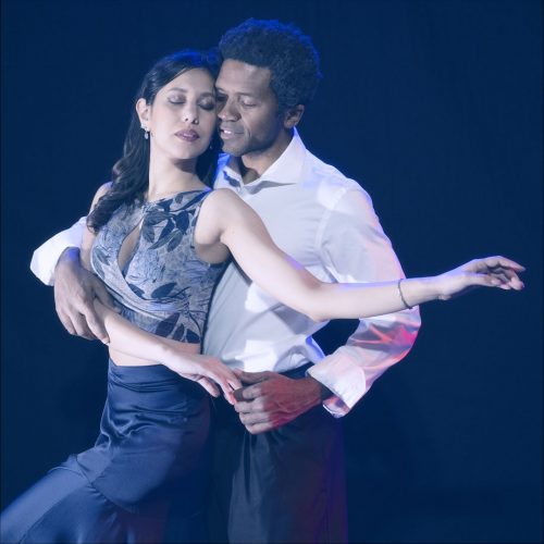 Top Prugna Floreale Blu